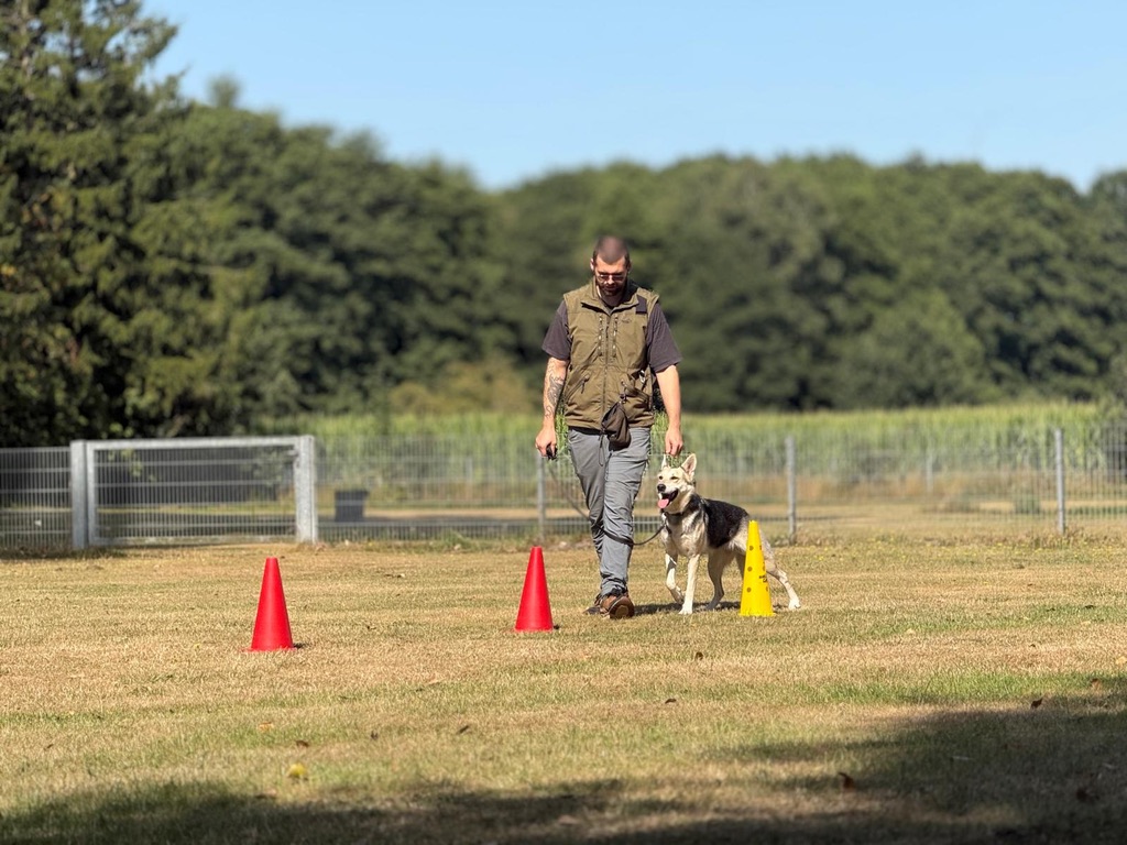 Louis Scheu training outdoors with his dog